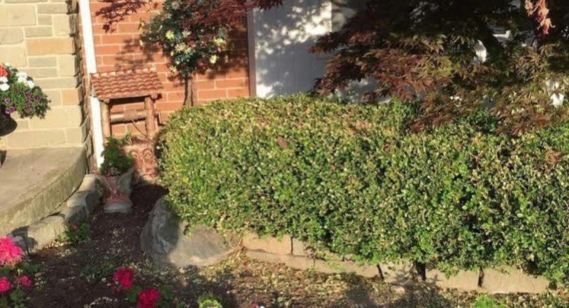 Cobblestone Bed And Breakfast Niagara-on-the-Lake Exterior photo